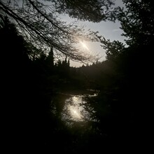 Roland Mann - Northville - Lake Placid Trail (NY)