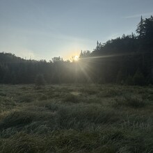 Roland Mann - Northville - Lake Placid Trail (NY)