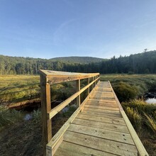 Roland Mann - Northville - Lake Placid Trail (NY)