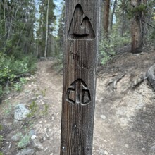 Dena Carr - Colorado Trail (CO)