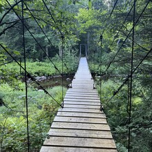 Roland Mann - Northville - Lake Placid Trail (NY)
