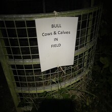 Alex Bance - The Stonehenge Way (UK)