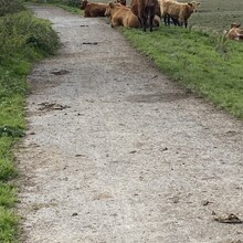 Alex Bance - The Stonehenge Way (UK)