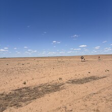 Aaron Nathan - OK Panhandle