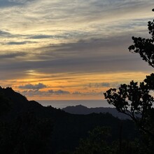 Tara Warren - Kauai Powerline Trail (Princeville Start)