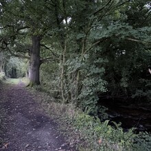 Richard Lander Stow - Erme Plym Trail