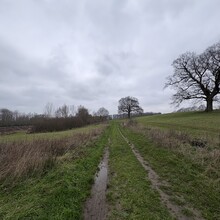 Dom Halbert - John Ray Walk (United Kingdom)