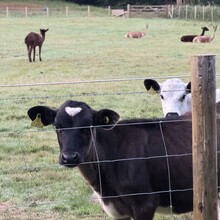 Richard Lander Stow - Erme Plym Trail