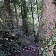 Richard Lander Stow - Erme Plym Trail