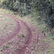 Richard Lander Stow - Erme Plym Trail