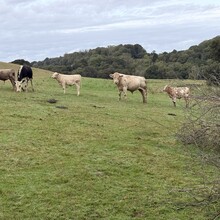 Richard Lander Stow - Erme Plym Trail