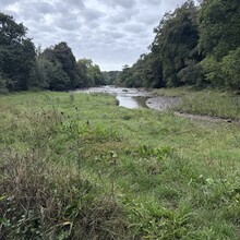 Richard Lander Stow - Erme Plym Trail