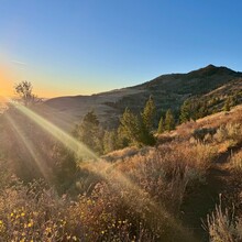 Brittany Haver - Summit Trail (South Warner Wilderness, CA)