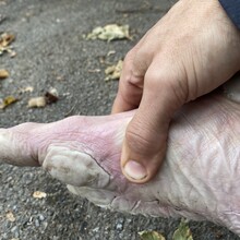 Alex Bance - The Stonehenge Way (UK)