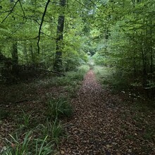 Alex Bance - The Stonehenge Way (UK)
