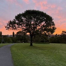 Richard Lander Stow - Plymouth’s Co-operative Way