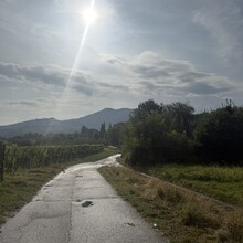 Daniel Hernes - Gustav Weg