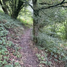 Richard Lander Stow - Plymouth’s Co-operative Way