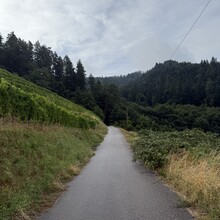 Daniel Hernes - Gustav Weg