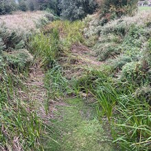 Sue Lord - Thames Path (UK)