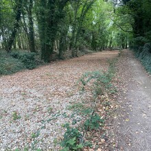 Sue Lord - Thames Path (UK)