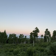 Courtney Clifton - Bears Ears Trail #1144