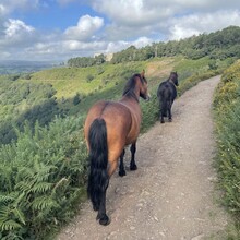 Sarah Clough - Across Dartmoor via the Two Moors Way (United Kingdom)