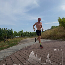 Daniel Hernes - Gustav Weg