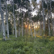 Courtney Clifton - Bears Ears Trail #1144