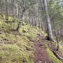 Chantal Demers - Fundy Circuit (NB, Canada)