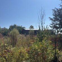 Chris Leblanc - Uwharrie Trail (NC)