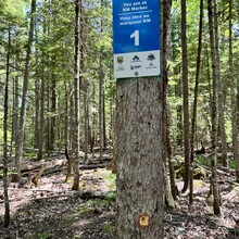 Mark Hemmings, Dean Mercer - Dobson Trail (2025)