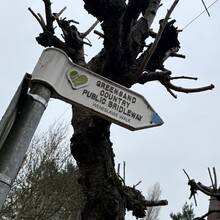 Dom Halbert, Christina 'Lexi' Halbert - Weneslawe Walk