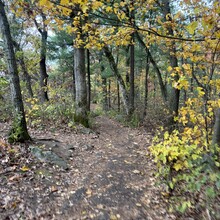 Isaiah Norton - Ice Age Trail, Devil's Lake Segment (WI)