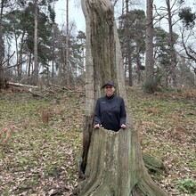 Dom Halbert, Christina 'Lexi' Halbert - Weneslawe Walk