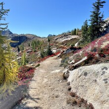 Ella Hall - Pacific Crest Trail:  Harts Pass to Rainy Pass (WA)