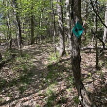 Heather DeRose, Antonio DeRose - Binder Park Trails Challenge (MO)