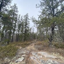 Cat Brown - Centennial Trail (MB, Canada)