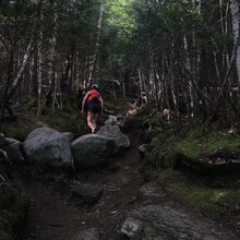 Lucy Skinner, Jordan Fields - Kinsman Ridge Trail (NH)