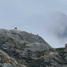 Gabriela Aramayo - Grande Traversée du Mercantour