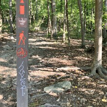 Lisa Musacchio - Sugarloaf Northern Peaks + Summit Loop (MD)