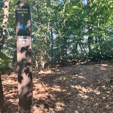 Lisa Musacchio - Sugarloaf Northern Peaks + Summit Loop (MD)