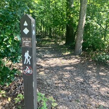 Lisa Musacchio - Sugarloaf Northern Peaks + Summit Loop (MD)