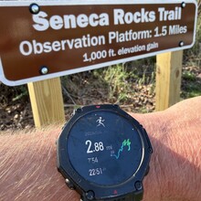 Mike Wardian - Seneca Rocks Climb (West Virginia)