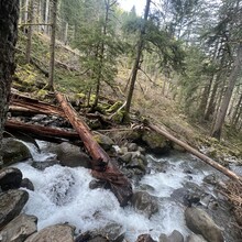 Taylor Nowlin - Oneonta Gorge Falls Loop (OR)