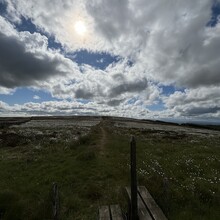 Andy Painting - The Herring Road (United Kingdom)