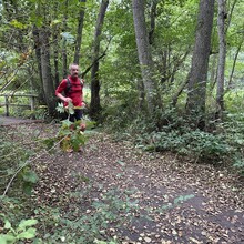Manfred Siebert-Diering, Jens Pfaff - Heide Diplom - Komplett