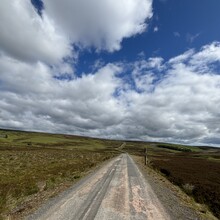 Andy Painting - The Herring Road (United Kingdom)