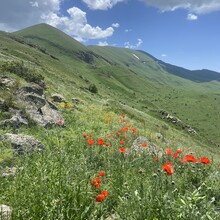 Katya Guryeva - Transcaucasian Trail