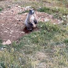 Svetoslav Kolev - Painted Traverse (WA)